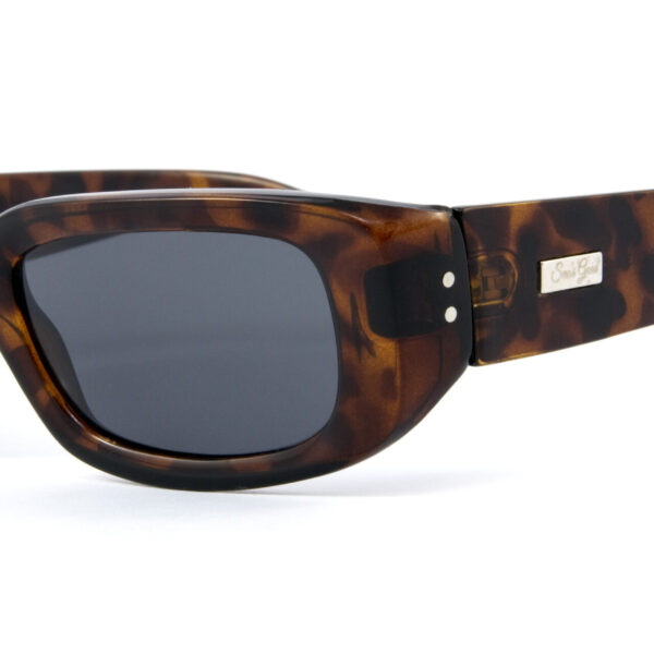 The Trendy C03
